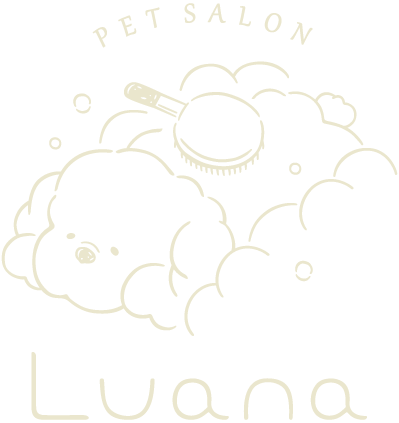 ロゴ(トップページへのリンクボタン)